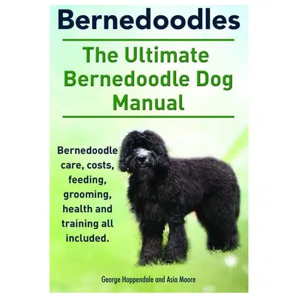 The ultimate bernedoodle dog manual book cover