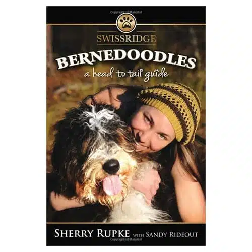 A head to tail guide to bernedoodle book cover