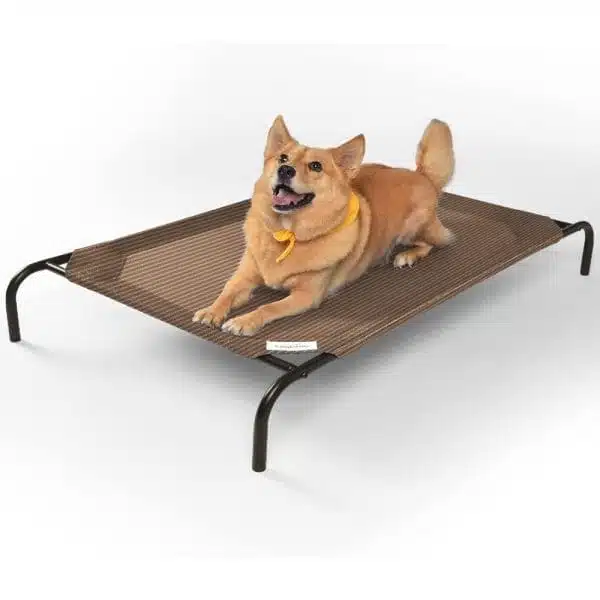 Dog laying on elevated pet bed