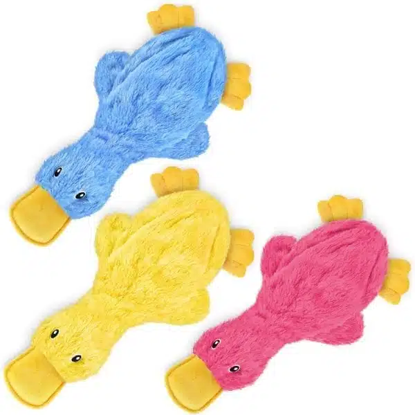 There different colors of the duck toy over white background