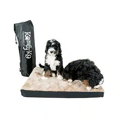 A pair of Alpine Bernedoodle puppies sitting on the Komfy K9 dog bed