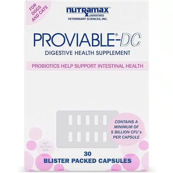 Proviable-DC health supplement for dogs shown in packaging over white background