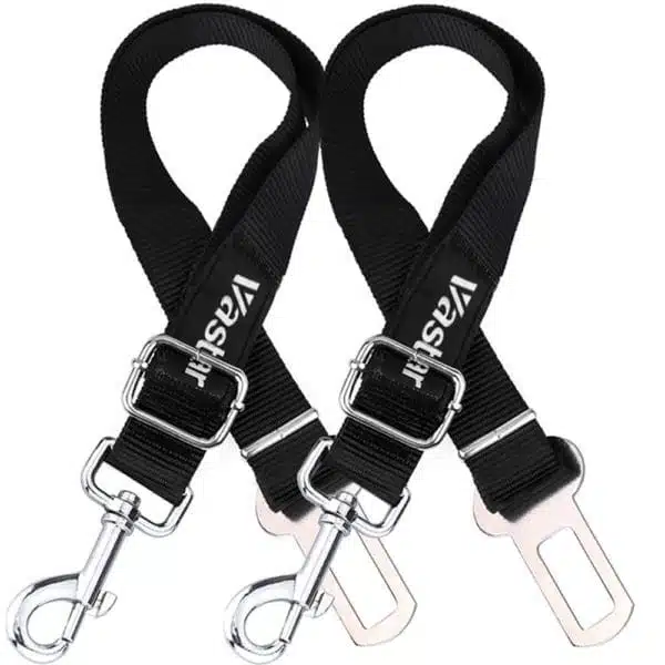 A pair of seatbelt harnesses