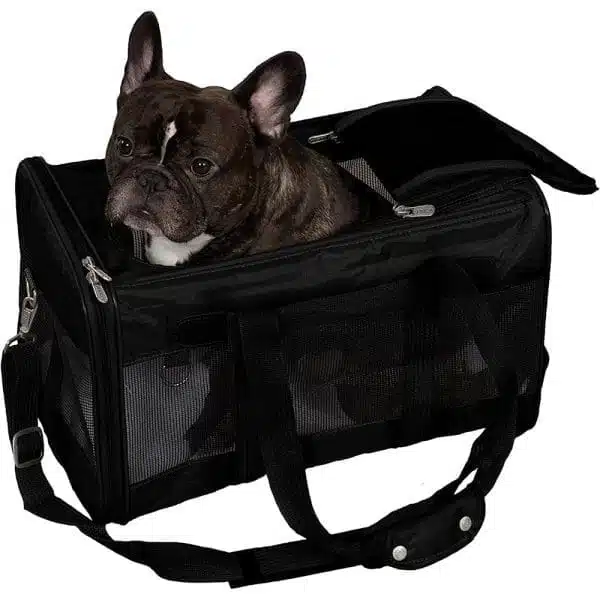 Dog sitting in a black pet carrier over white background