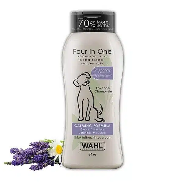 Lavender Dog Shampoo & Conditioner Bottle over white background next to lavender flowers