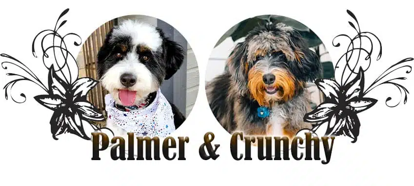 Palmer and Crunchy paired breeding