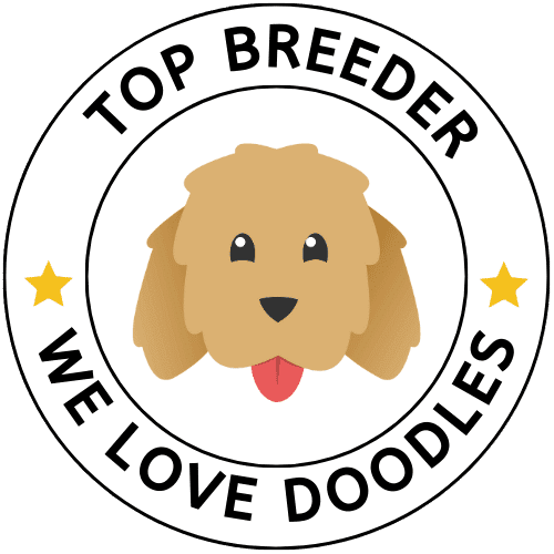 We love doodles top breeder badge