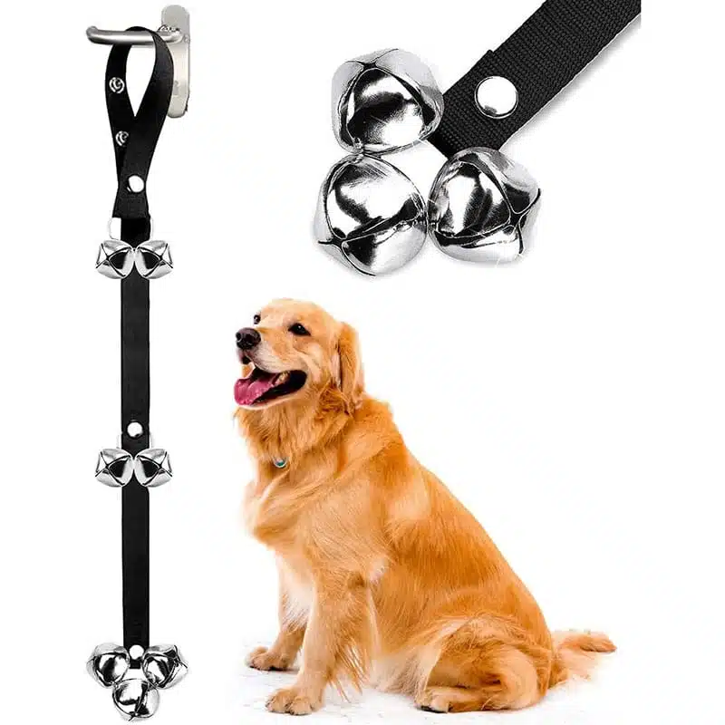 Golden Retriever standing next to bells on door handle